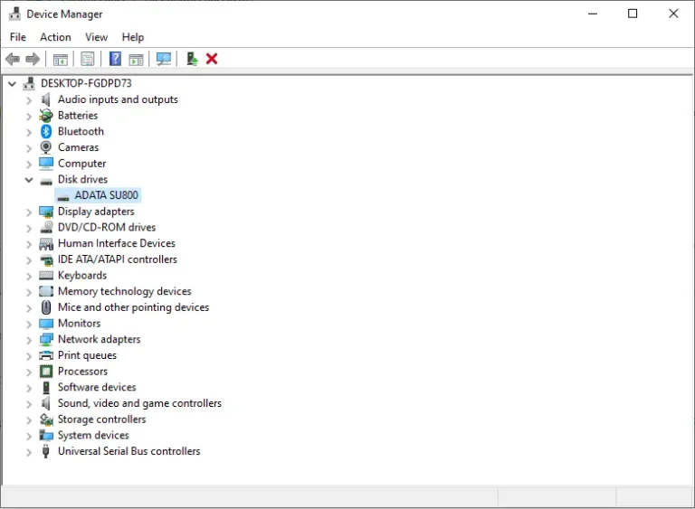 Disk Drives in Device Manager